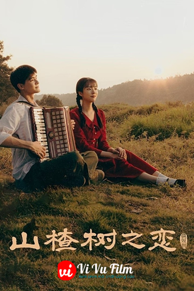 Chuyện Tình Cây Sơn Tra